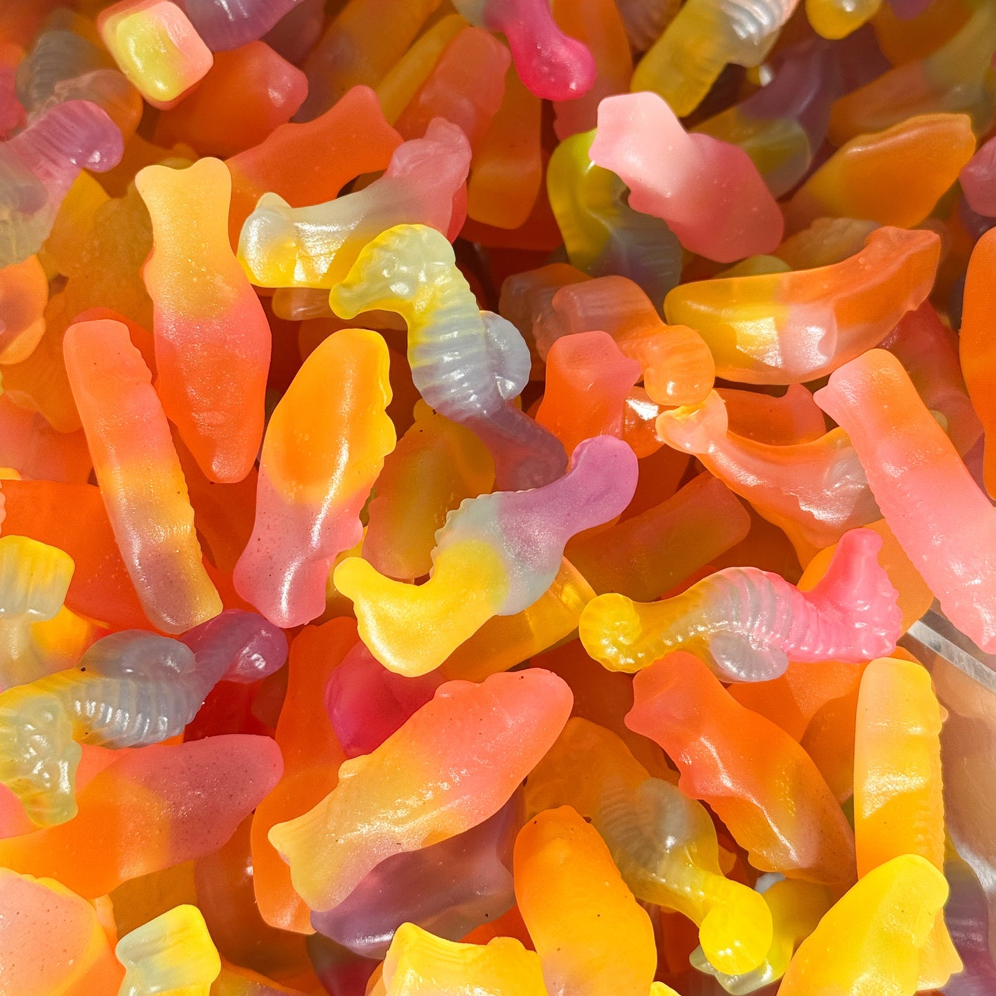 Under-the-Sea Gummies